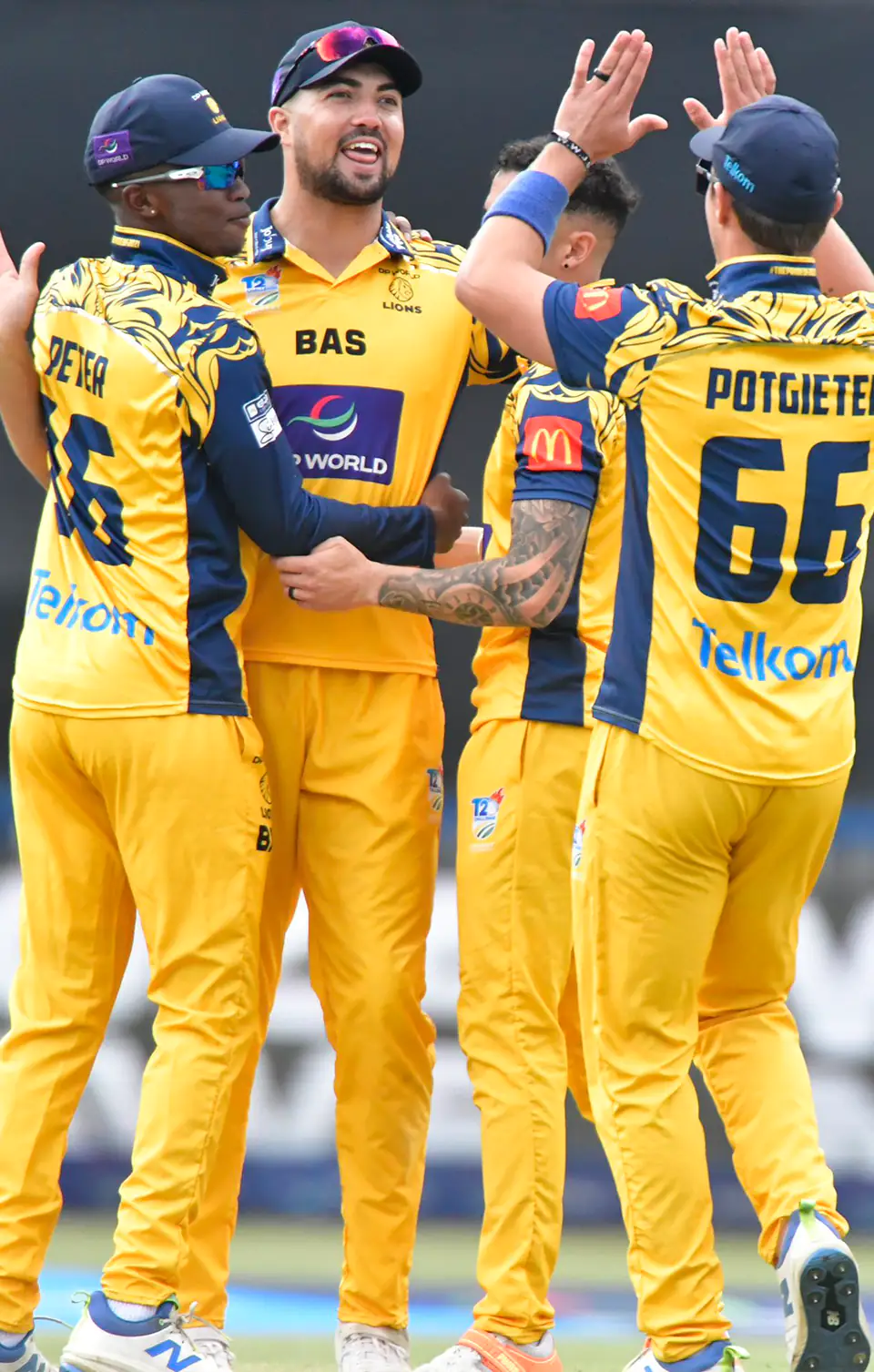 Lions Cricket celebrating a wicket